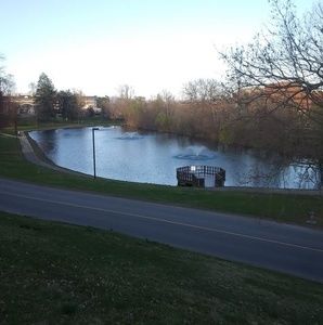 Meet your Posher, Timothy